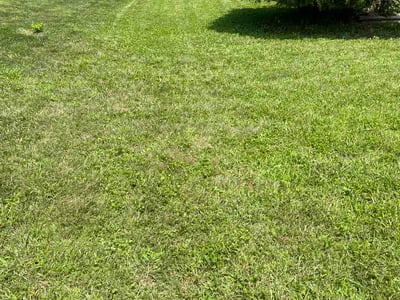 Lawn Care service in Cockeysville, 21030