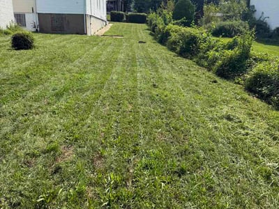 Lawn Care service in Cockeysville, 21030
