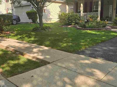 Lawn Care service in Elkton, 21921