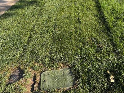 Lawn Care service in Westminster, 80030