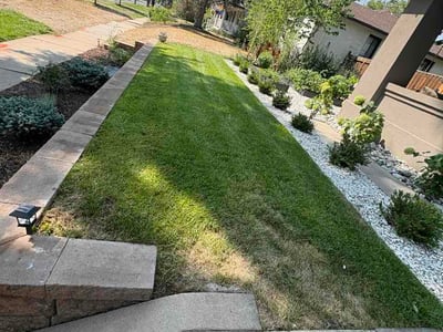 Lawn Care service in Lone Tree, 80124