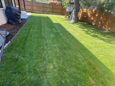 Lawn Care service in Fairplay, 80440
