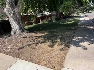 Lawn Care service in Fairplay, 80440