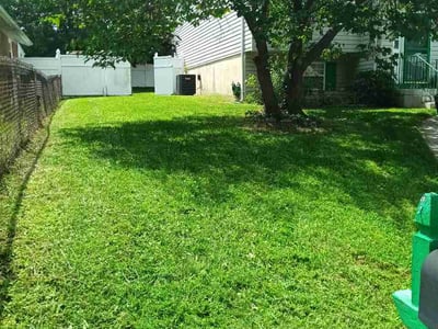 Lawn Care service in Pasadena, 21122