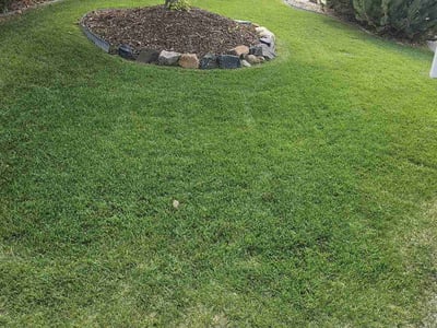 Lawn Care service in ,