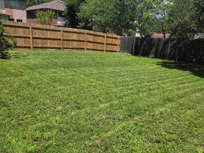 Lawn Care service in Del Valle, 78617