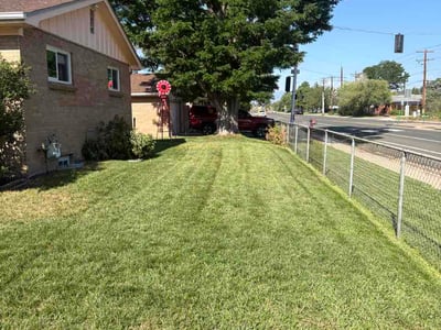 Lawn Care service in Englewood, 80113