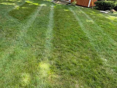 Lawn Care service in Milford, 45150