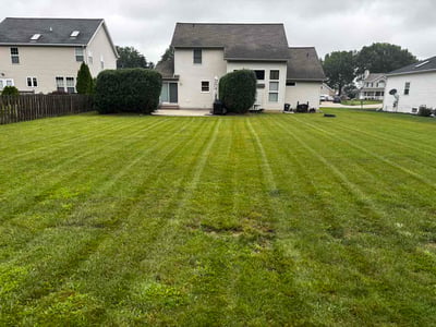 Lawn Care service in North Ridgeville, 44039