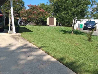 Lawn Care service in Temple Hills, 20748