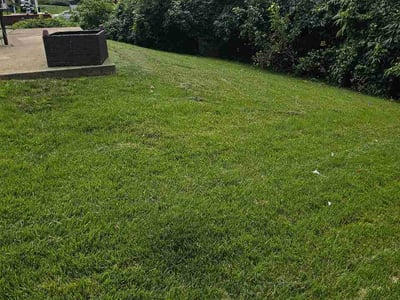 Lawn Care service in Temple Hills, 20748