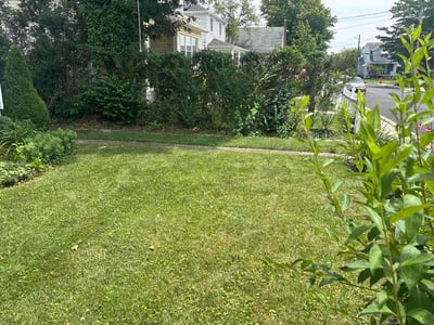 Lawn Care service in Halethorpe, 21227