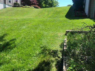 Lawn Care service in Gwynn Oak, 21207