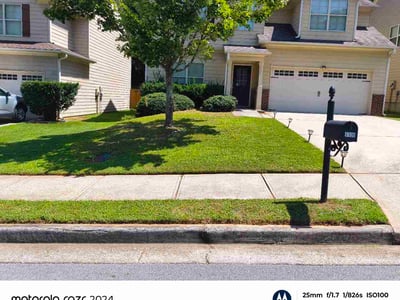 Lawn Care service in Escondido, 92025