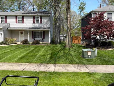 Lawn Care service in Rocky River, 44116