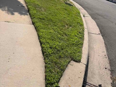 Lawn Care service in Centennial, 80112