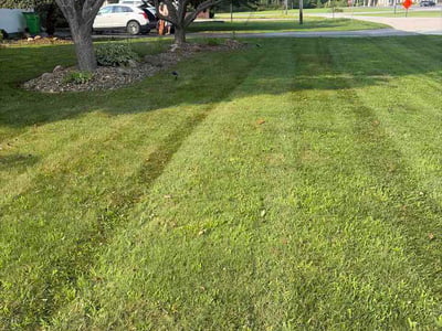 Lawn Care service in Rocky River, 44116