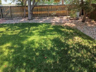 Lawn Care service in Aurora, 80011