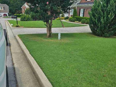 Lawn Care service in El Cajon, 92020