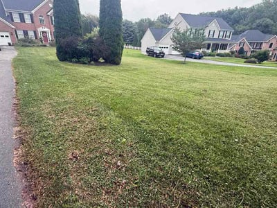Lawn Care service in Lutherville Timonium, 21093
