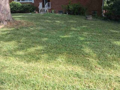 Lawn Care service in Upper Marlboro, 20772