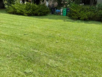 Lawn Care service in Fort Washington, 20744