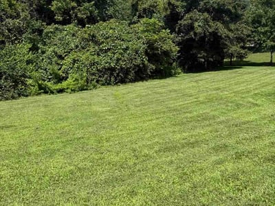 Lawn Care service in Burlington, 41005