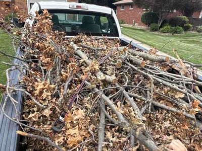 Lawn Care service in Medina, 44256