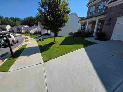 Lawn Care service in Fallbrook, 92028