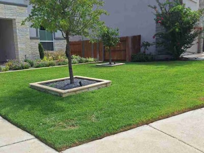 Lawn Care service in Cedar Creek, 78612