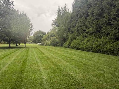 Lawn Care service in Bear, 19701