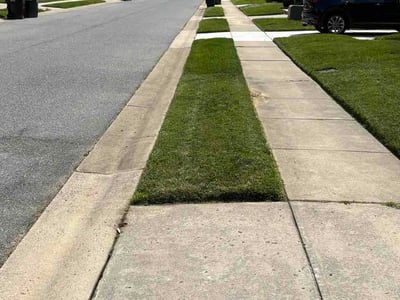 Lawn Care service in Bear, 19701