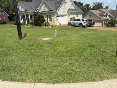 Lawn Care service in Nolensville, 37135