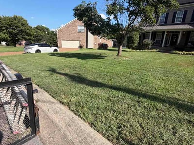Lawn Care service in Nolensville, 37135