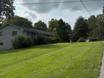Lawn Care service in Lenoir City, 37771