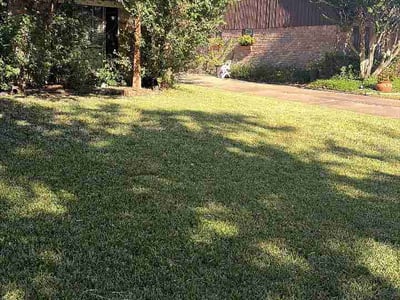 Lawn Care service in Lakeside, 92040