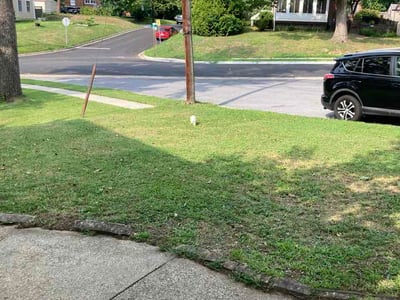 Lawn Care service in Oxon Hill, 20745