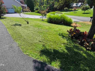 Lawn Care service in La Plata, 20646