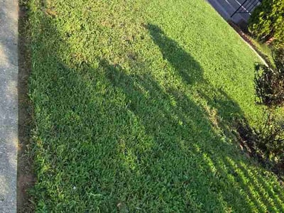 Lawn Care service in Hyattsville, 20781