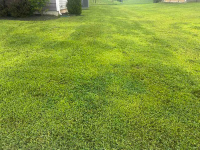 Lawn Care service in Claymont, 19703