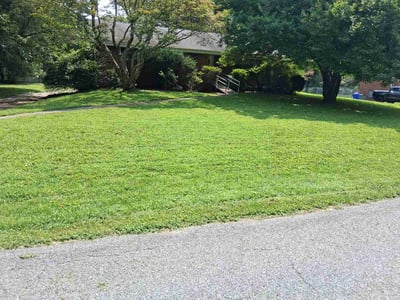 Lawn Care service in Ellicott City, 21043