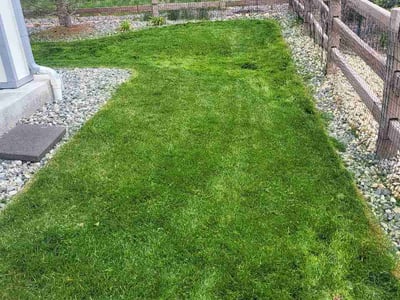 Lawn Care service in Peyton, 80831