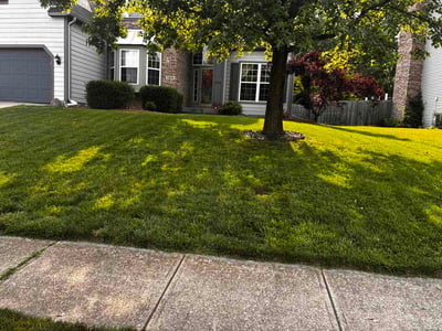 Lawn Care service in Muncie, 47305