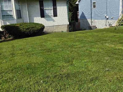 Lawn Care service in Woodbury, 37190