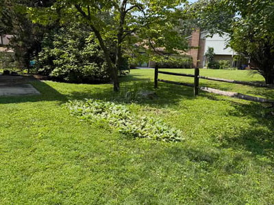 Lawn Care service in Columbia, 21044