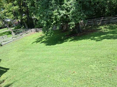 Lawn Care service in Columbia, 21044