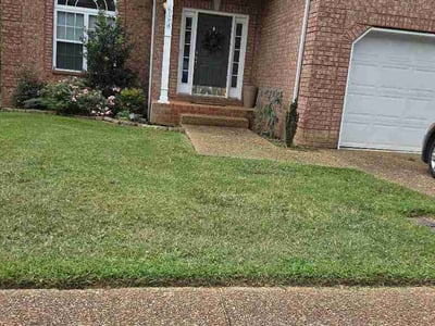 Lawn Care service in Brentwood, 37027