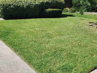 Lawn Care service in Princeton, 75407