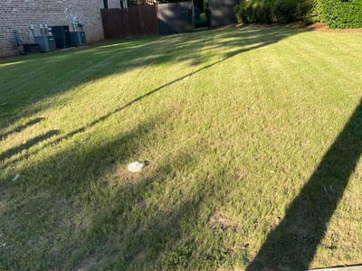 Lawn Care service in Imperial Beach, 91932