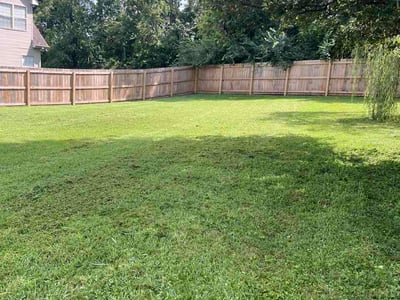 Lawn Care service in Antioch, 37013